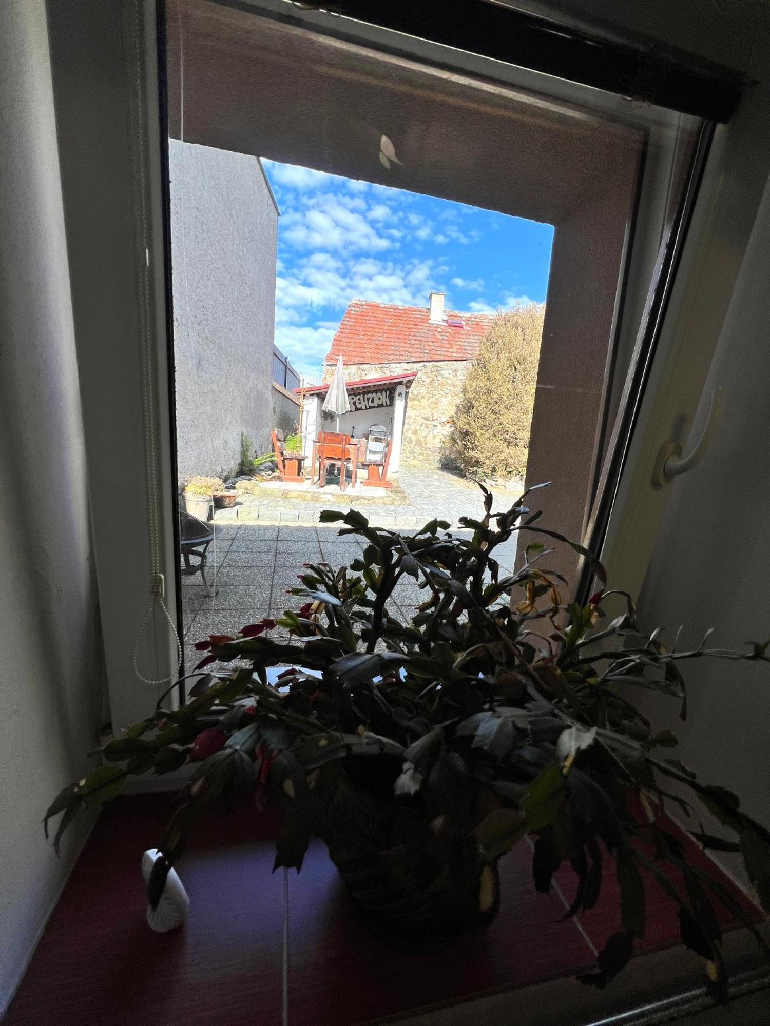 Penzion Na Růžku Selčan Exterior foto